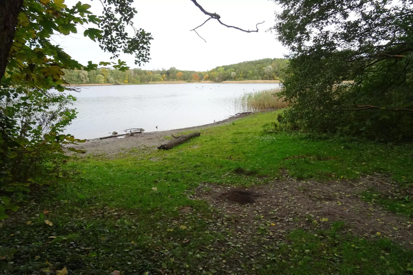 Luxus Appartement / 4 Personen-Gebieden zomer 5km