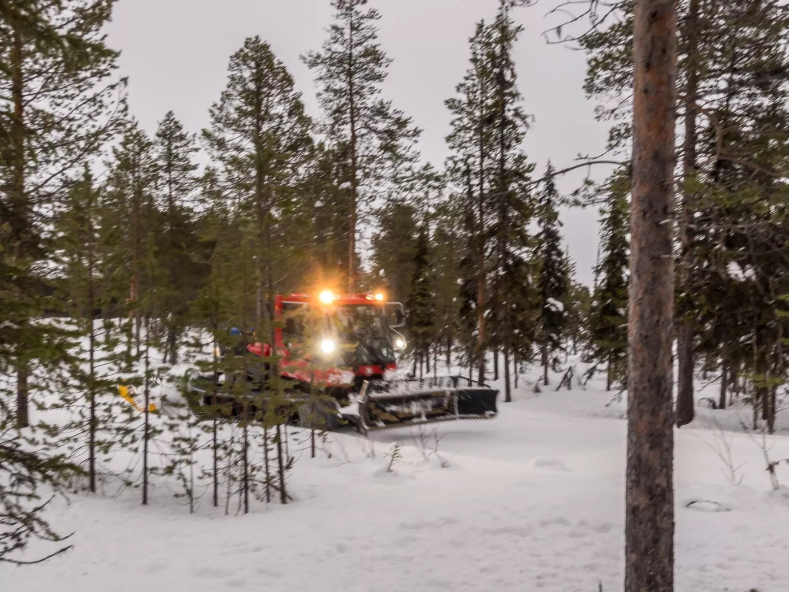 Levin kuiskaus-Binnen