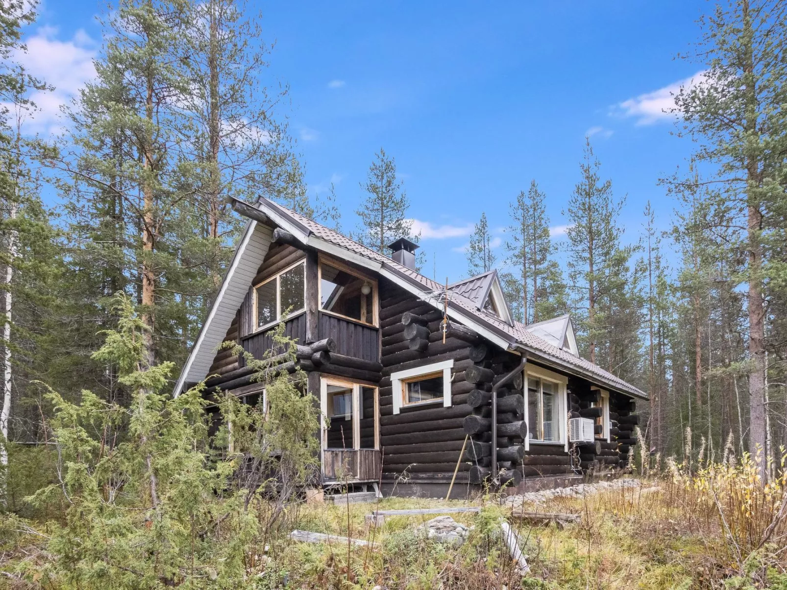 Tunturitähti, lainio-Binnen