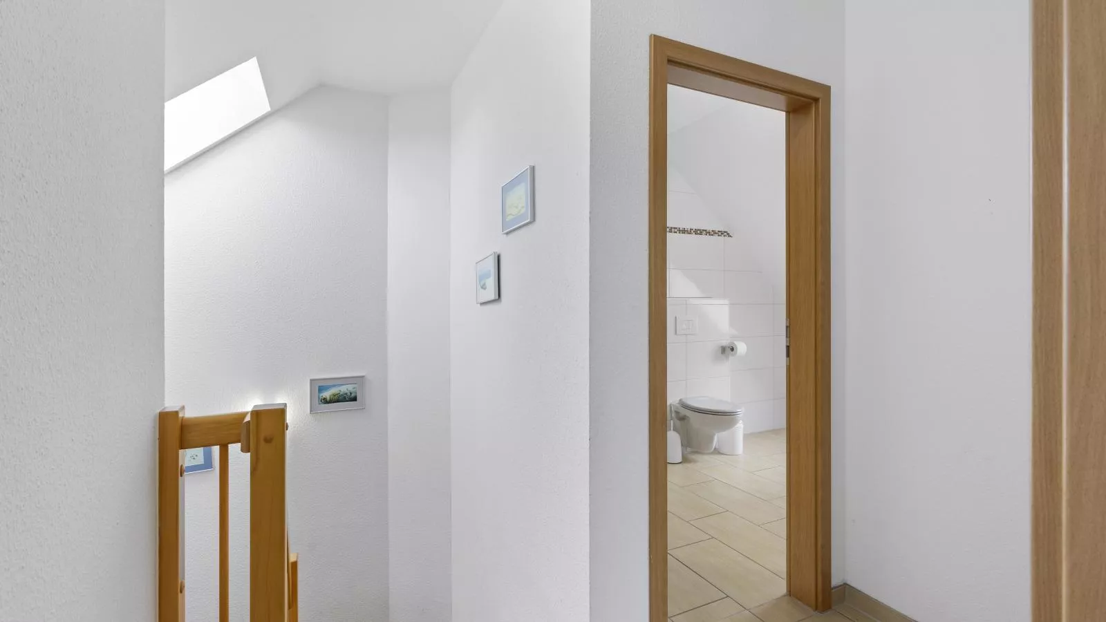 Stranddistel rechts-Overloop