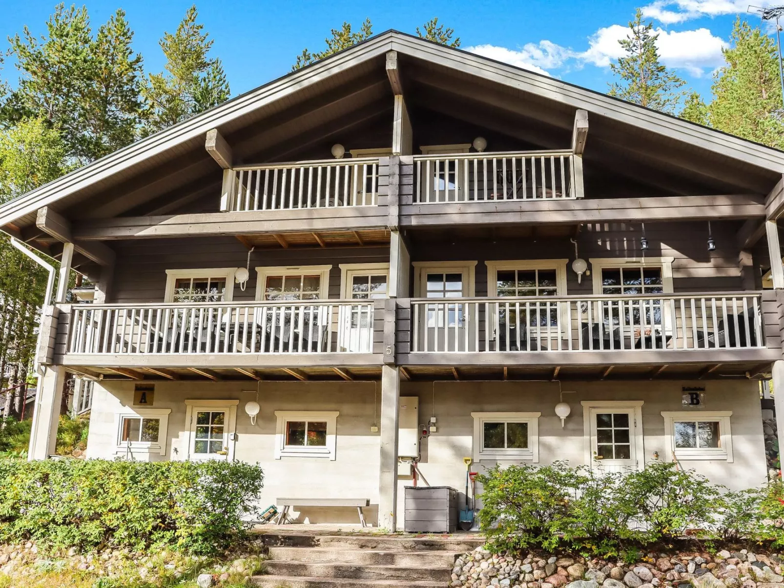 Hallanhelmi a paritalo-Binnen