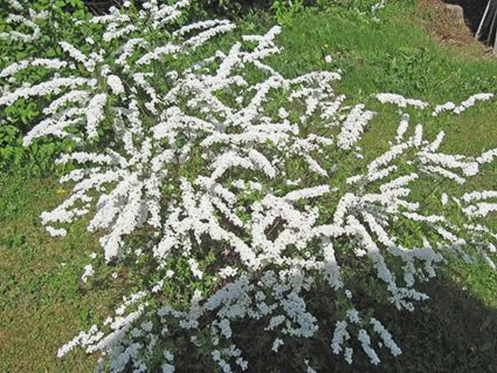 Viljamaan lomamökit 2-Binnen