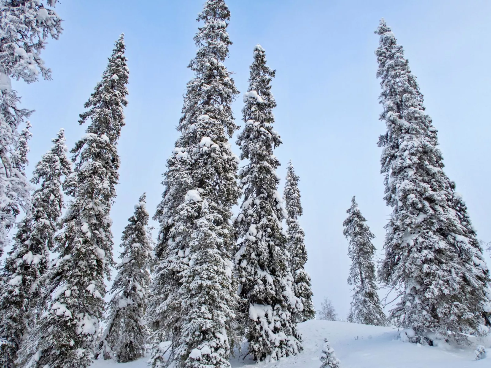 Villa jaloranta a-Binnen