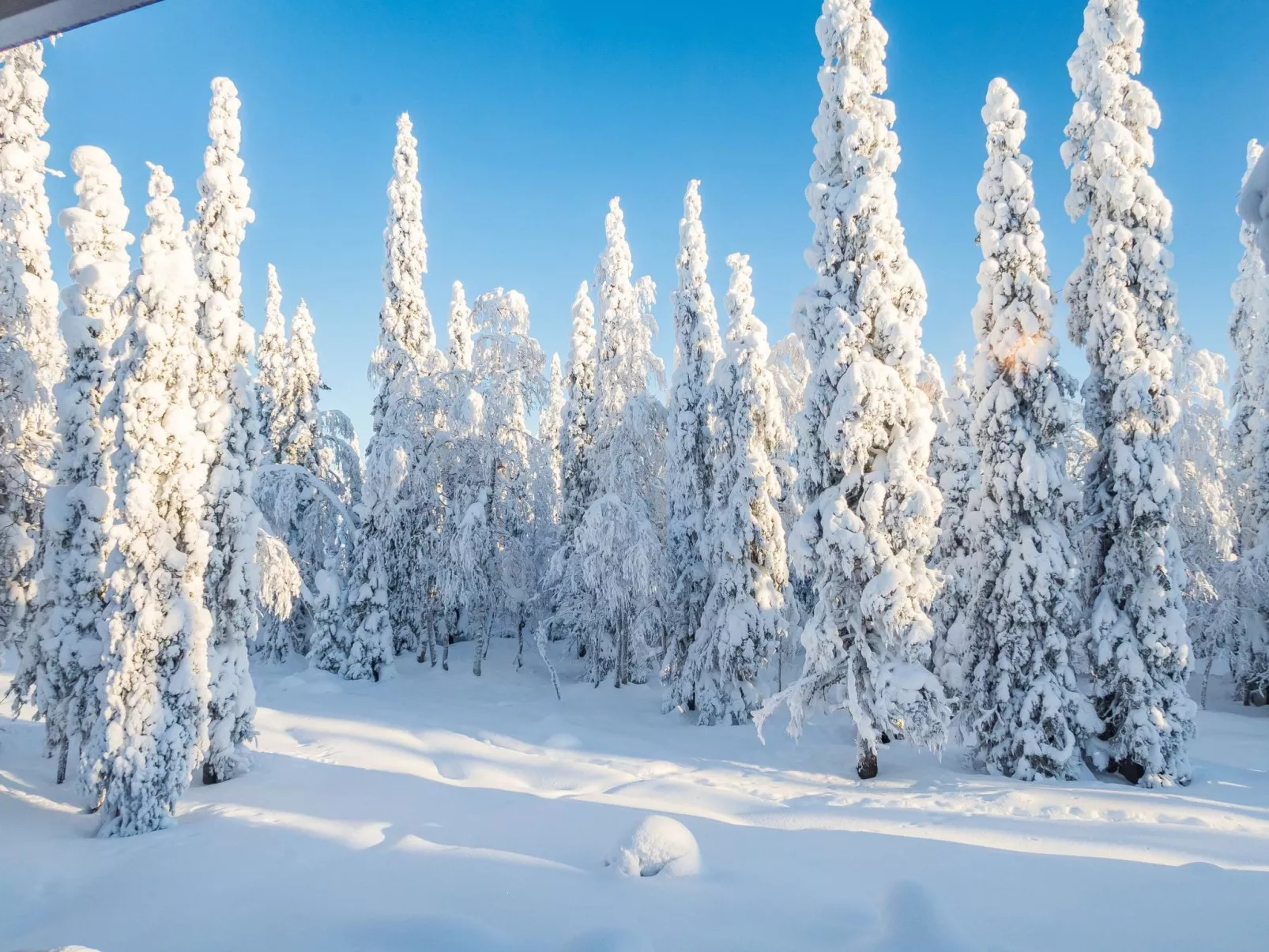 Vuosselinhovi c-Binnen