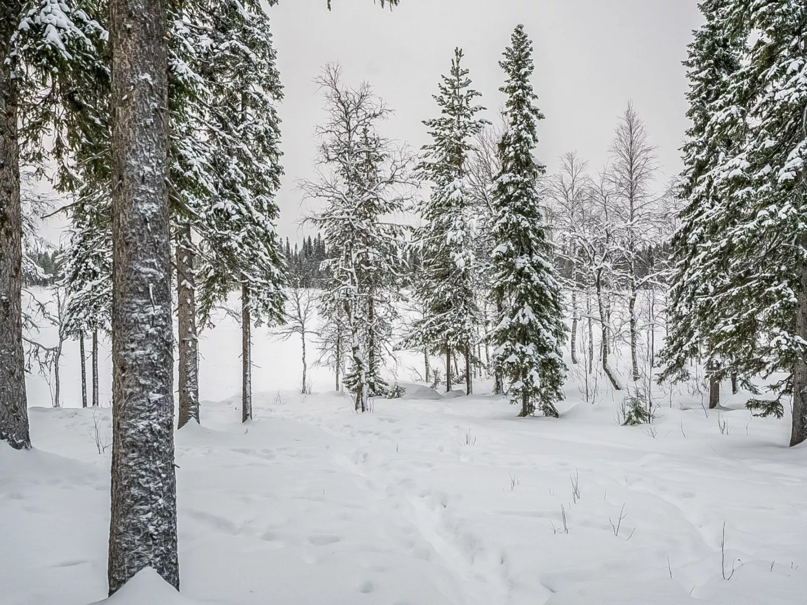 Seitsemän savua 6-Binnen