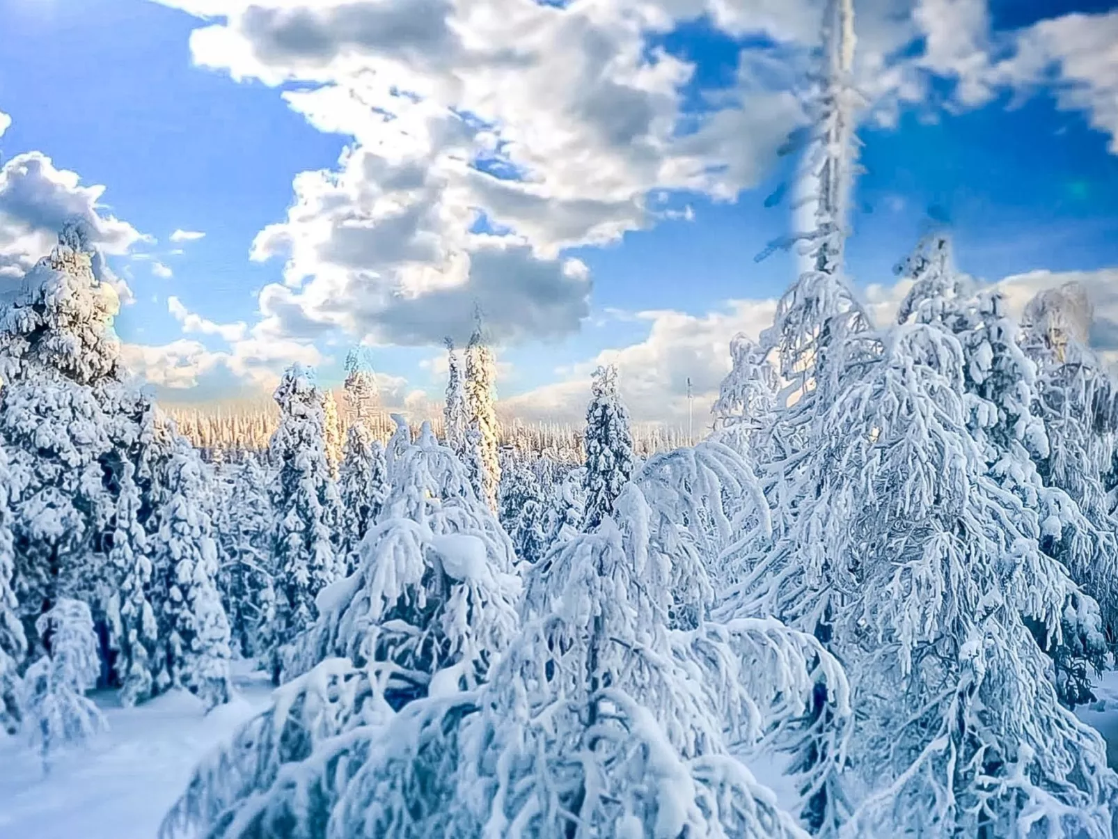 Villa alte ruka-Binnen