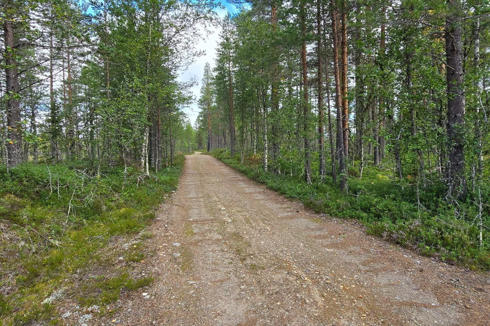 6 Personen vakantie huis in Osen-Niet-getagd