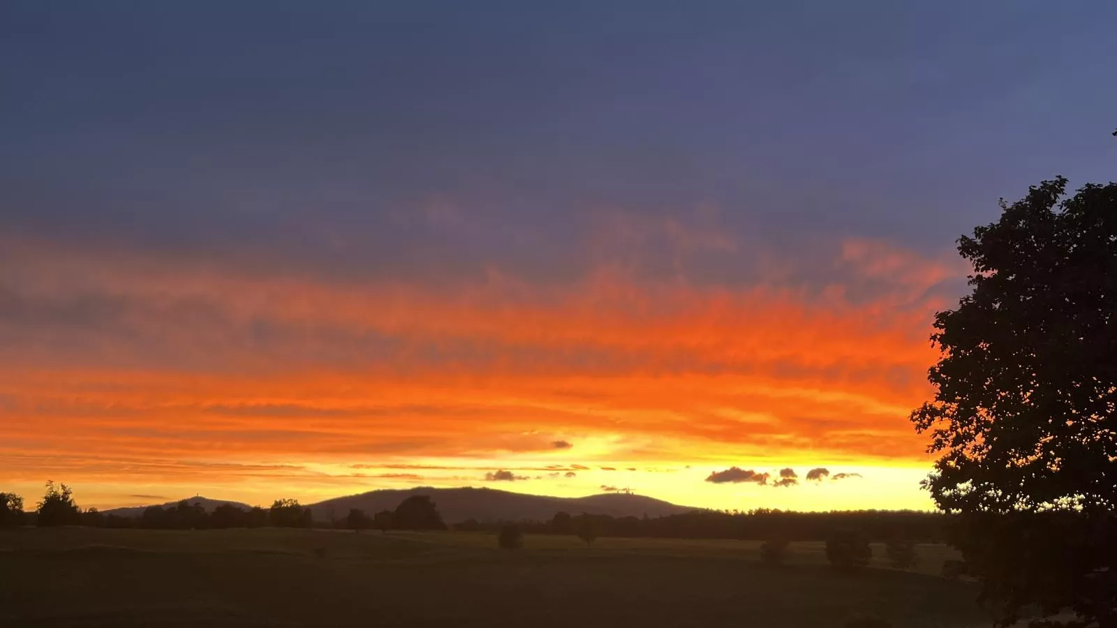 Mompels-Gebieden zomer 1km