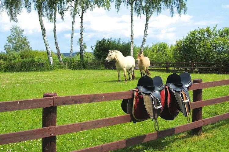 Ferienhaus in Plau am See 3SZ-Parkfaciliteiten