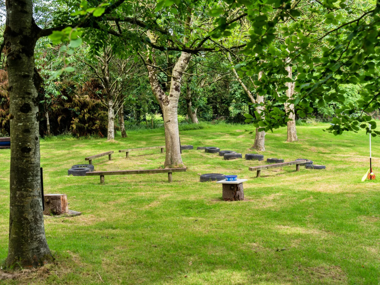 Beech Lotus Belle Tent-Buiten