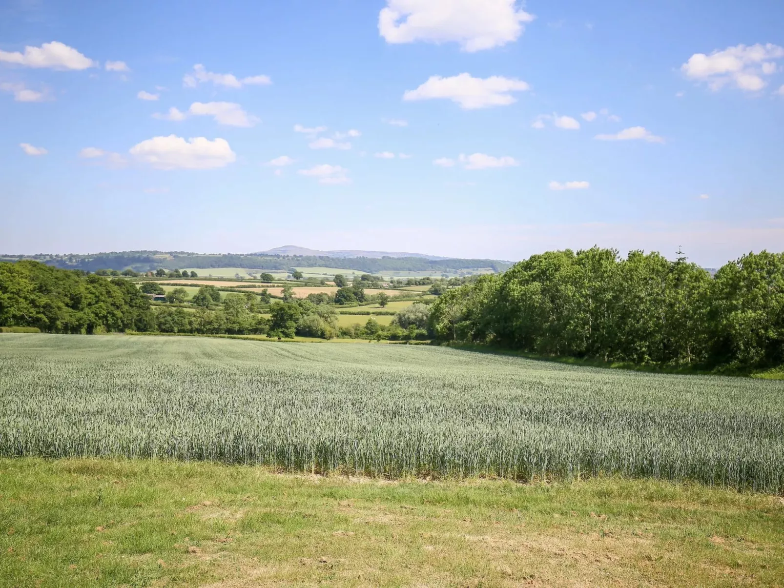 Norton Cottage-Buiten