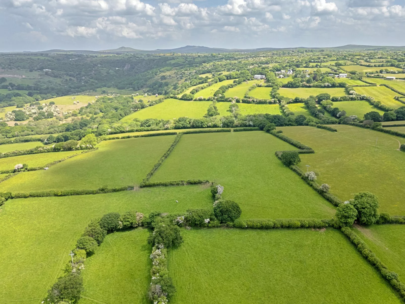 Rowella Cottage-Buiten