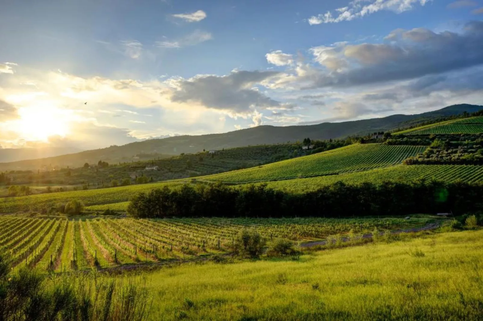 Appartamento 9-Gebieden zomer 20km