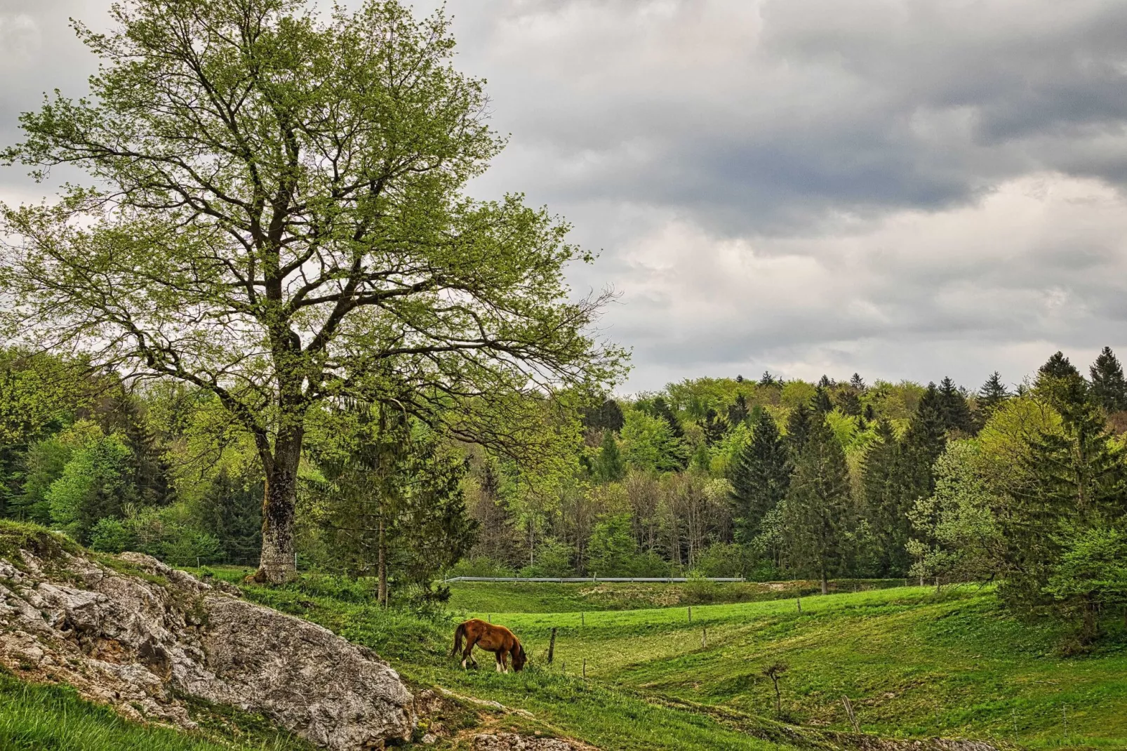 Visnja Gora Meadow Hideaway with Terrace - One Bedroom Cottage with Terrace (owner Hiška na skalci)-Buitenlucht