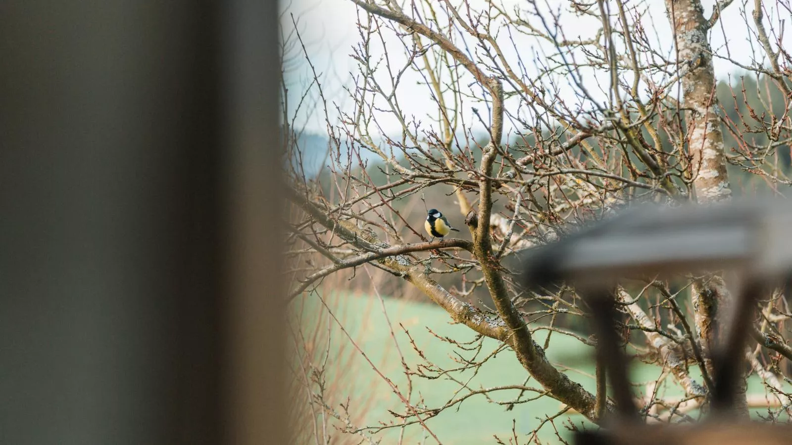 Im Bayerischen Wald-Sfeer