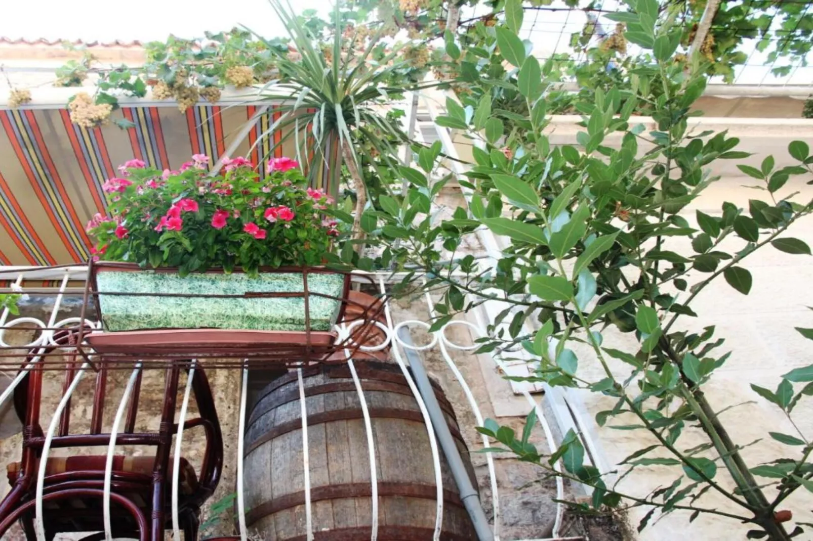 Quaint & Affordable Stay in Budva Traditional Stone House - Family Room 2-Terras