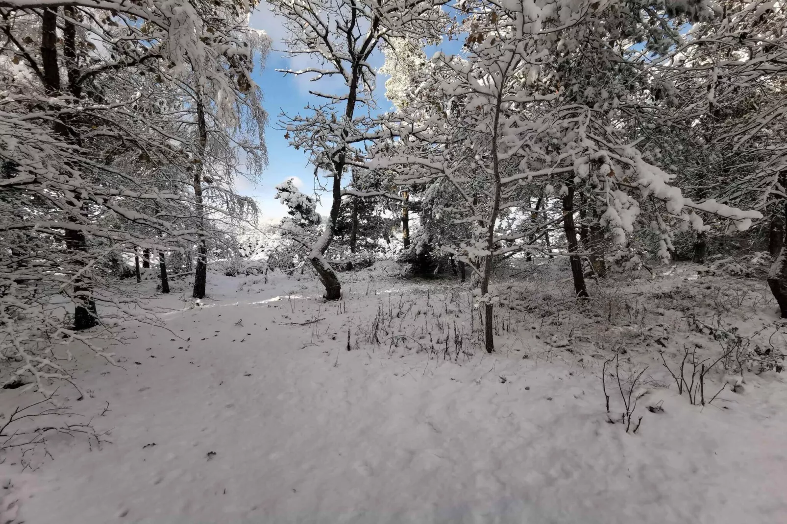 5 sterren vakantie huis in Hadsund-Buitenlucht