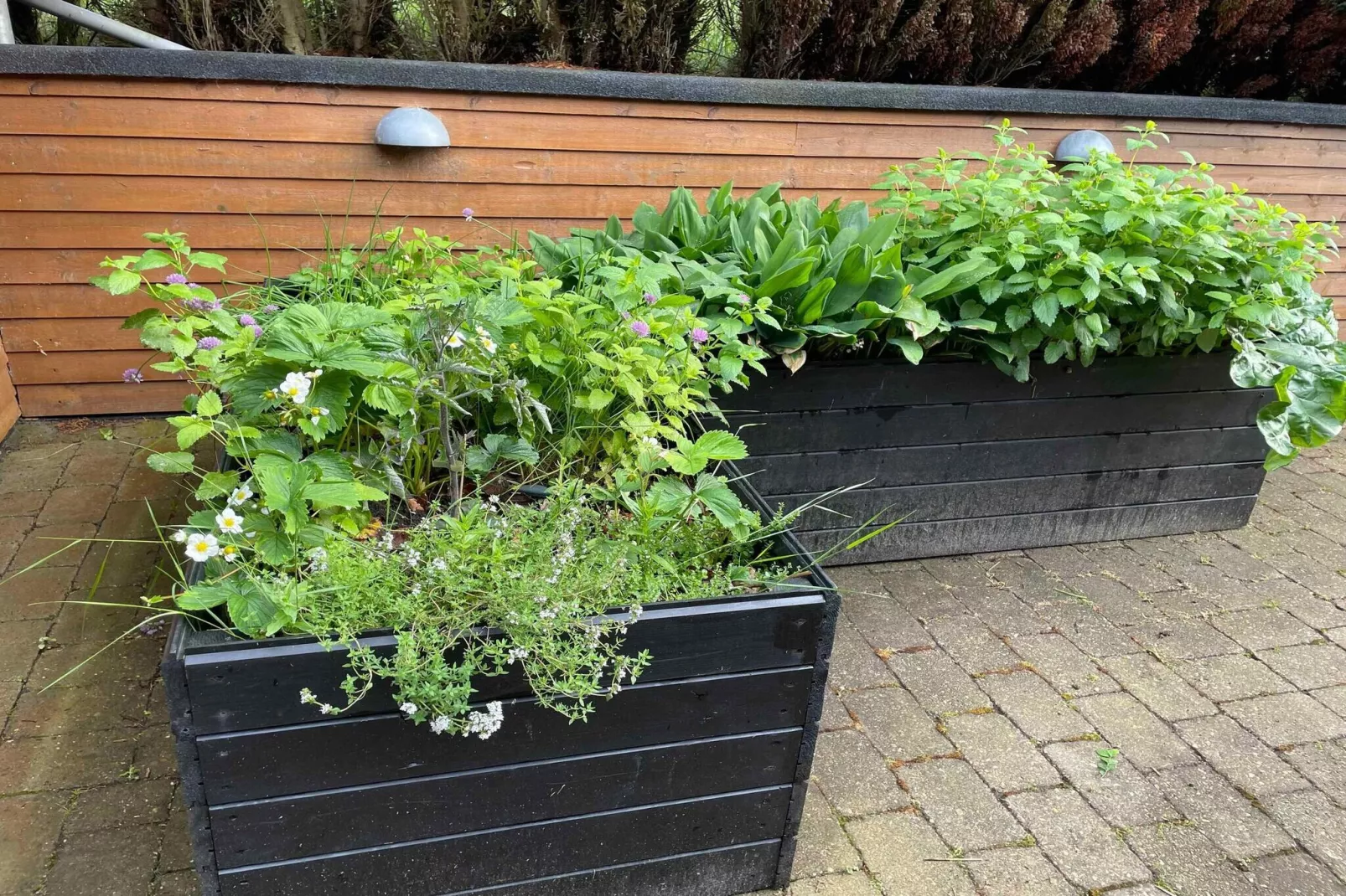 5 sterren vakantie huis in Farsø-Buitenlucht