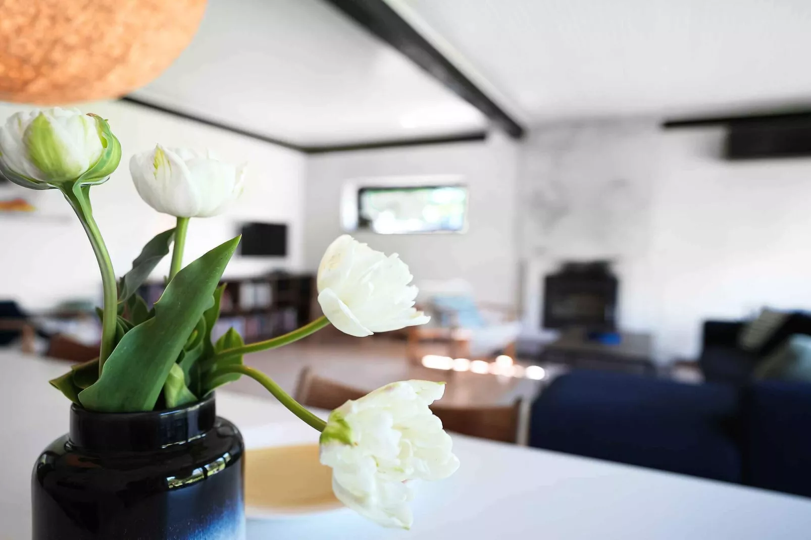 5 sterren vakantie huis in Græsted-Binnen