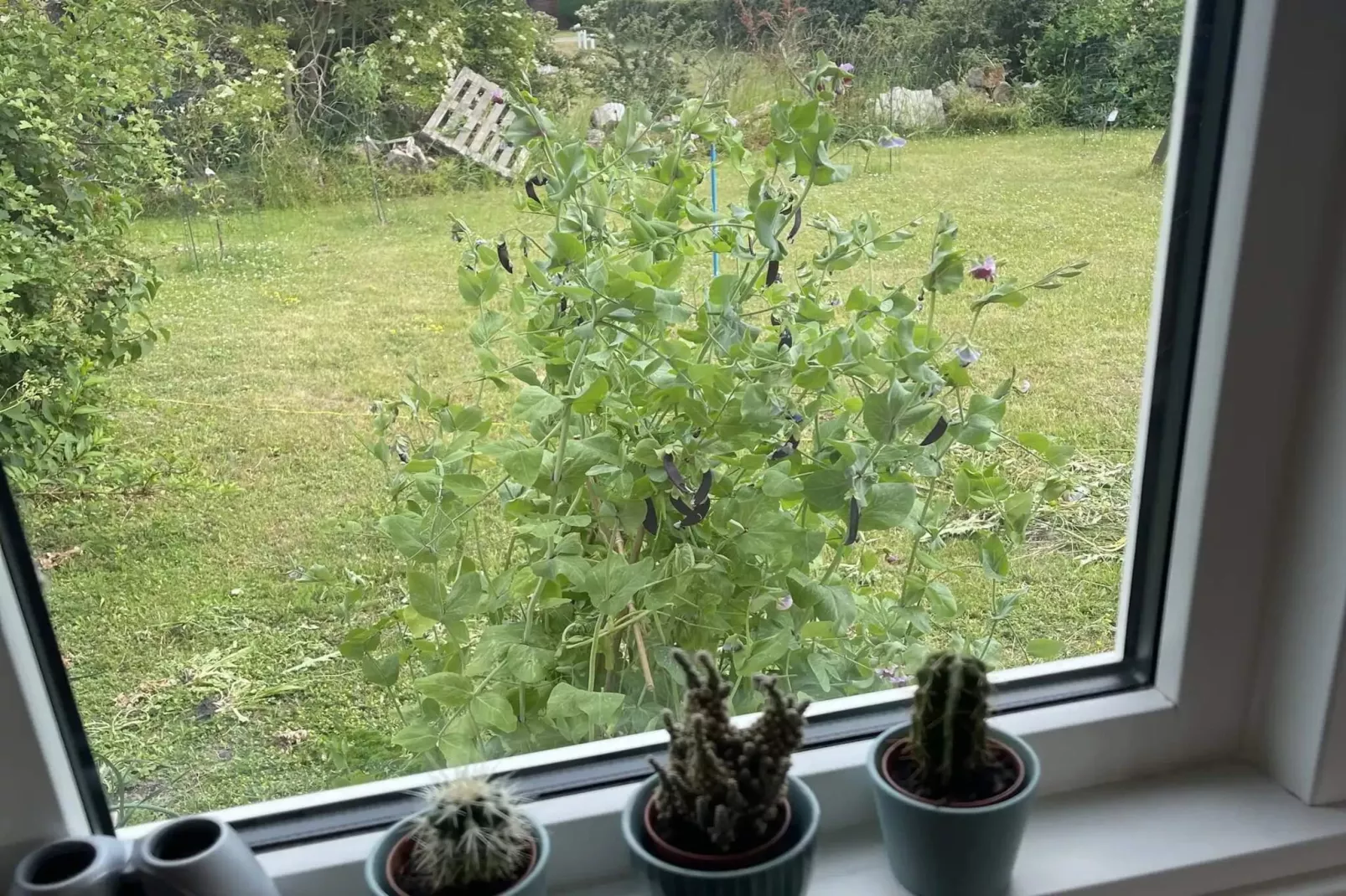 5 sterren vakantie huis in Slagelse