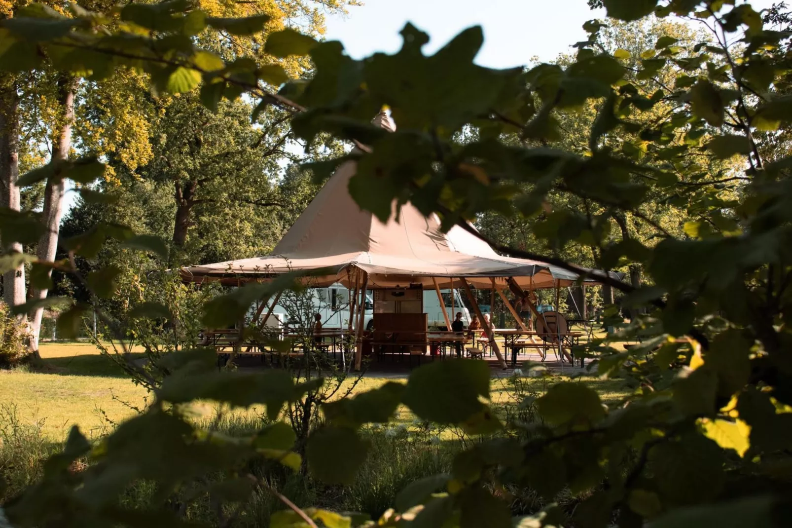 Cosy Lodge | 6 persoons - Parkfaciliteiten