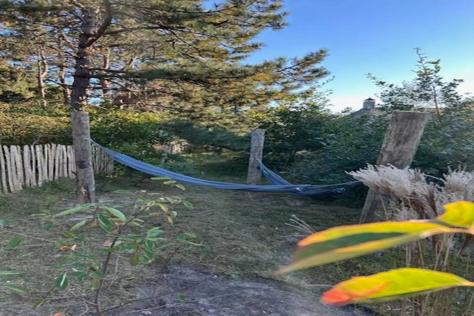 Sun (6p)-Image-tags.