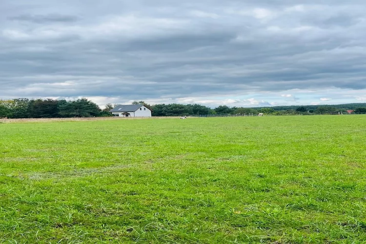 Green Hill Domysłów-Buitenkant zomer