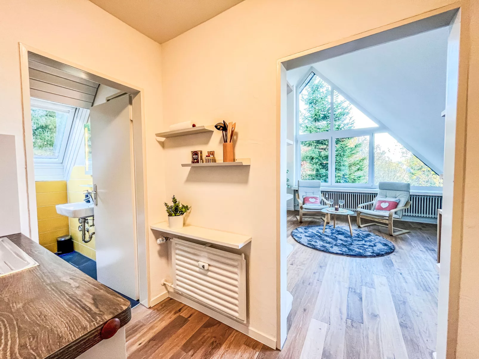 Falkennest - mit Blick auf den Titisee-Binnen