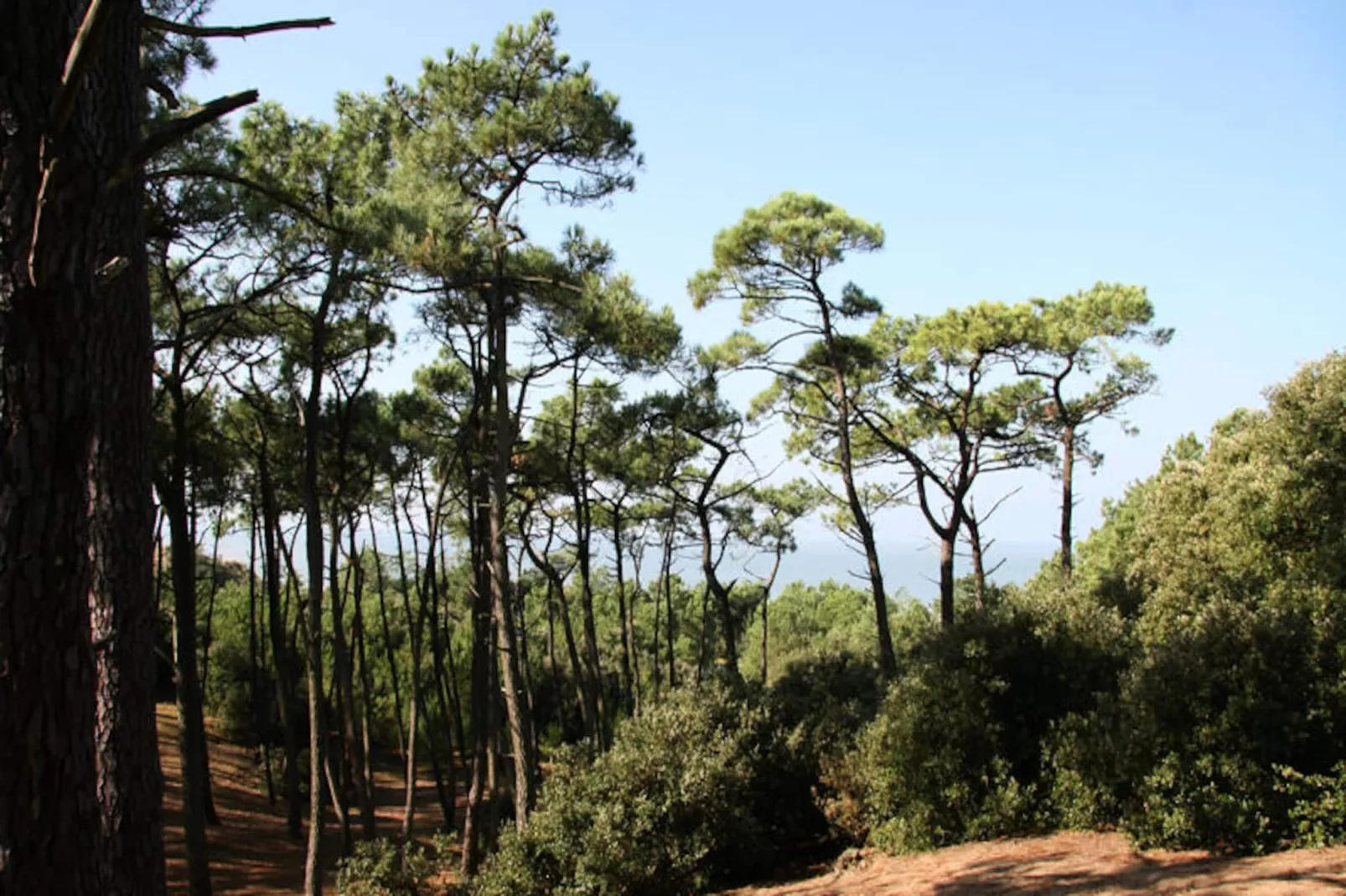 Appartements à Saint-Brevin-les-Pins-Niet-getagd