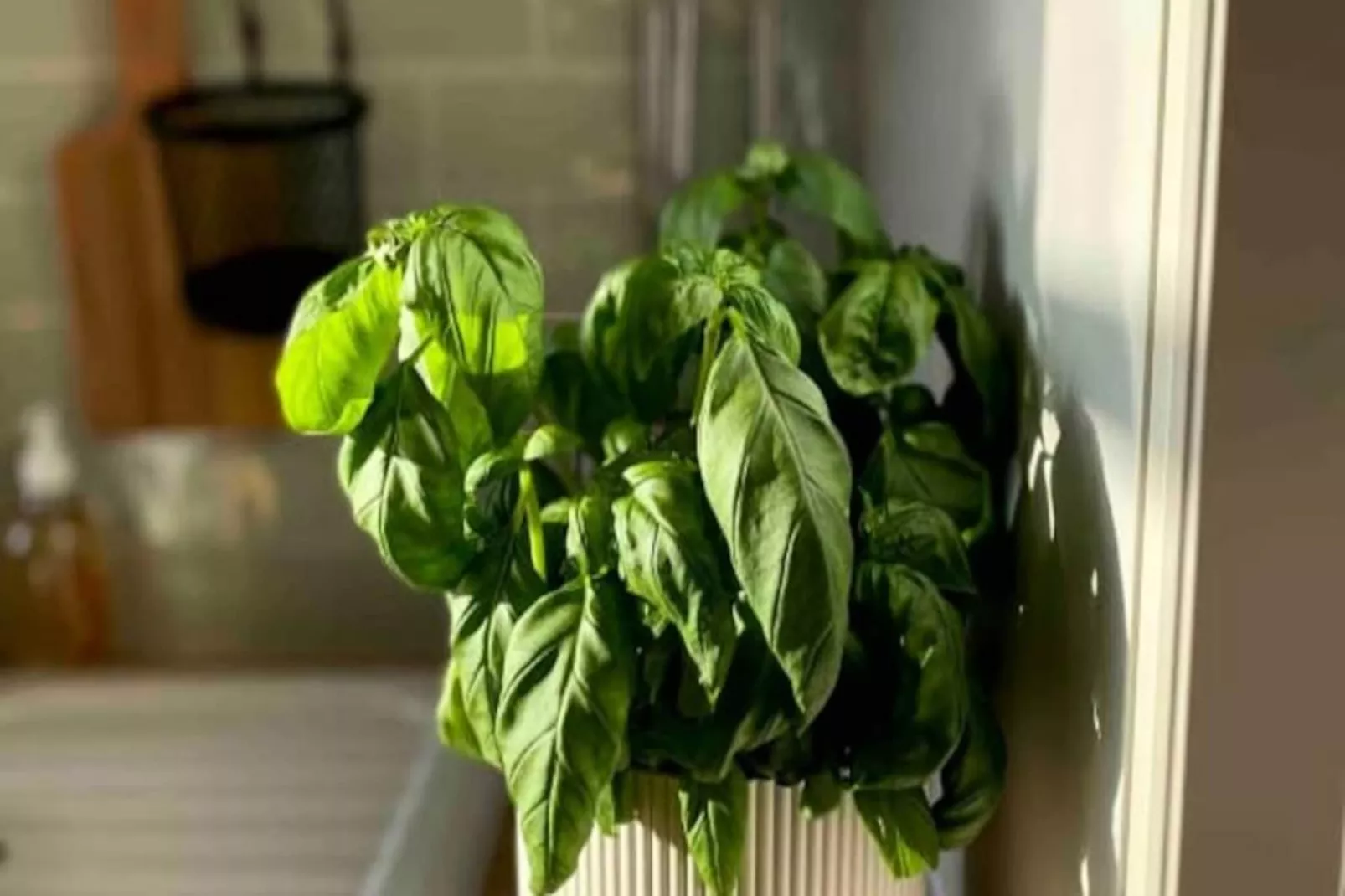 ✨magnifique Vue Sur La Mer Sur Le Port, Balcon S-o ✨-Niet-getagd