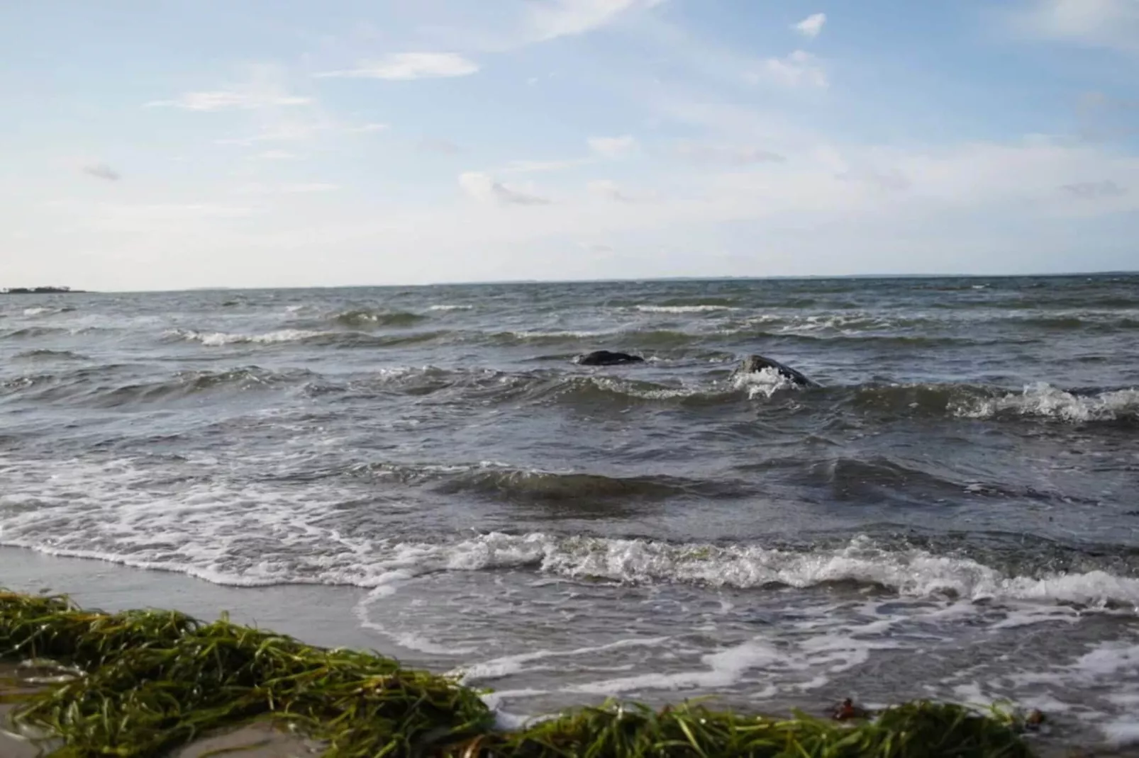 Sfeervol Havenhuisje-By Traum-Waterzicht