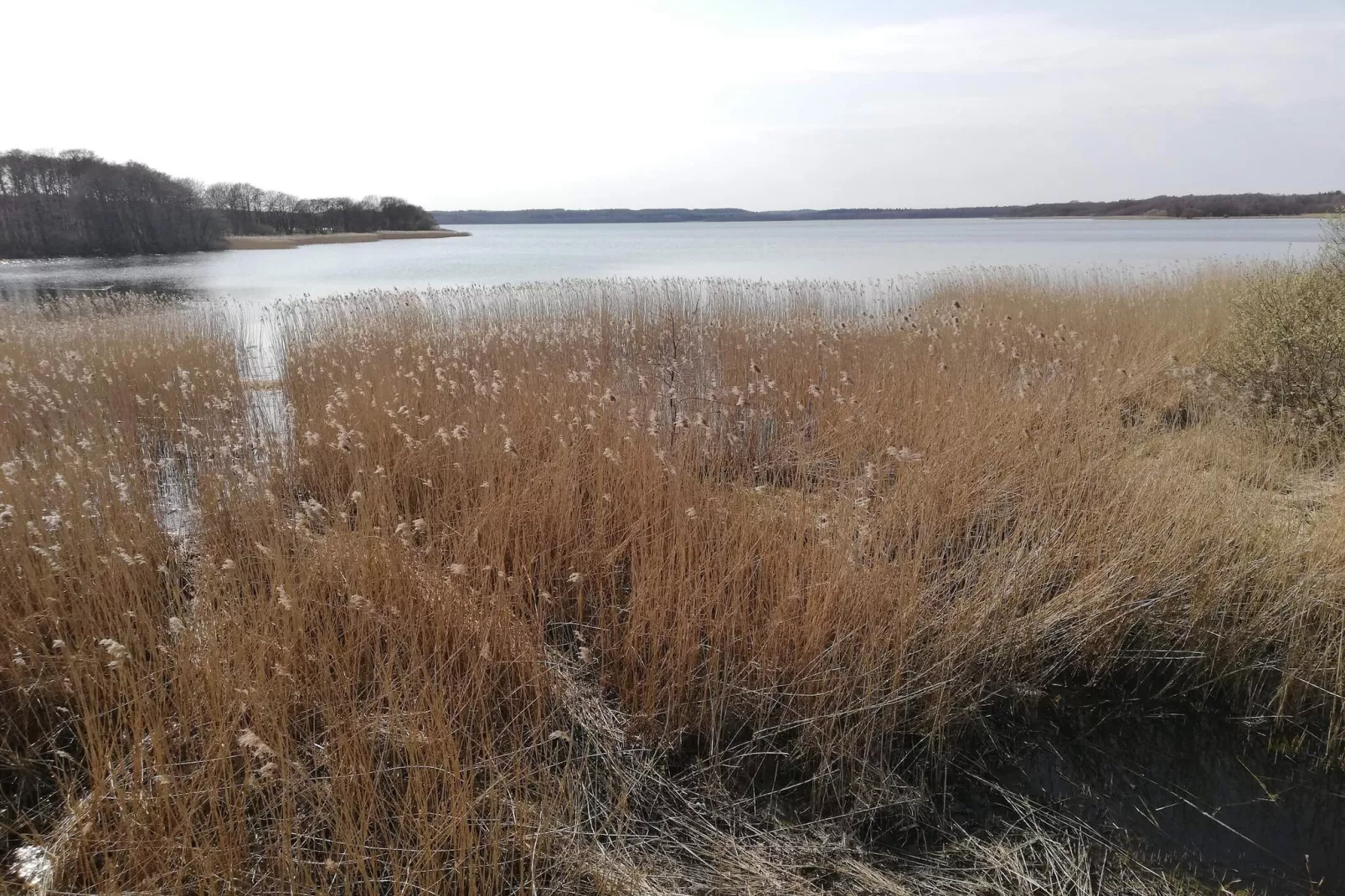 8 persoons vakantie huis in Ebeltoft-Waterzicht
