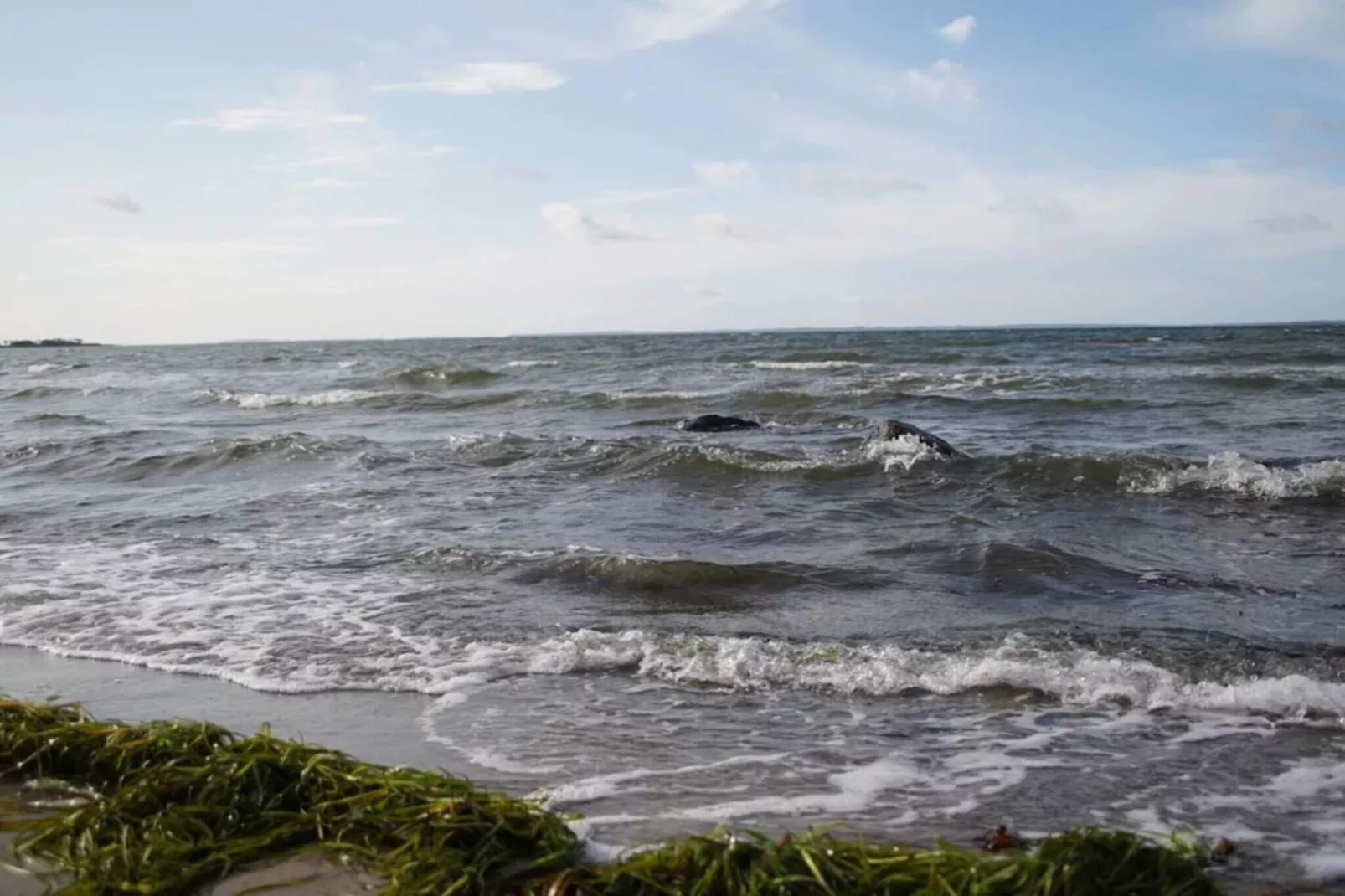 6 persoons vakantie huis in Jægerspris-Waterzicht