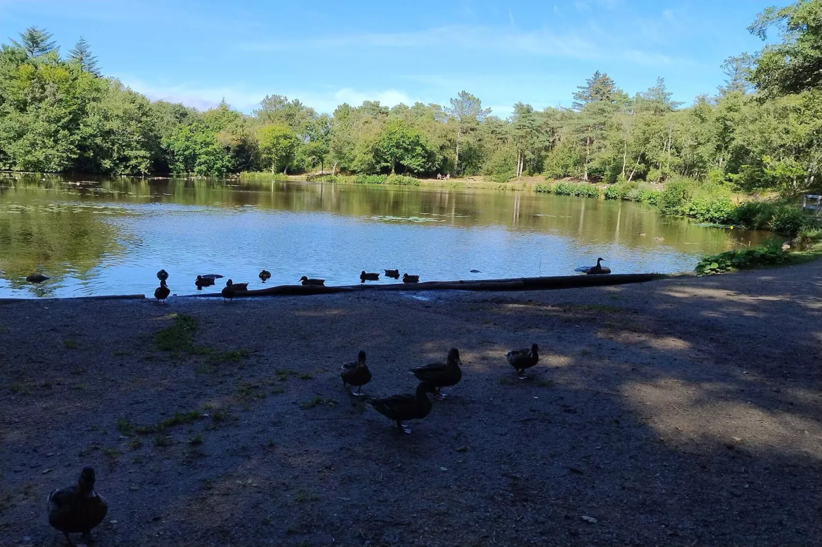 Gezinsuitje in Lodskovvad -- By Traum Ferienwohnungen-Waterzicht