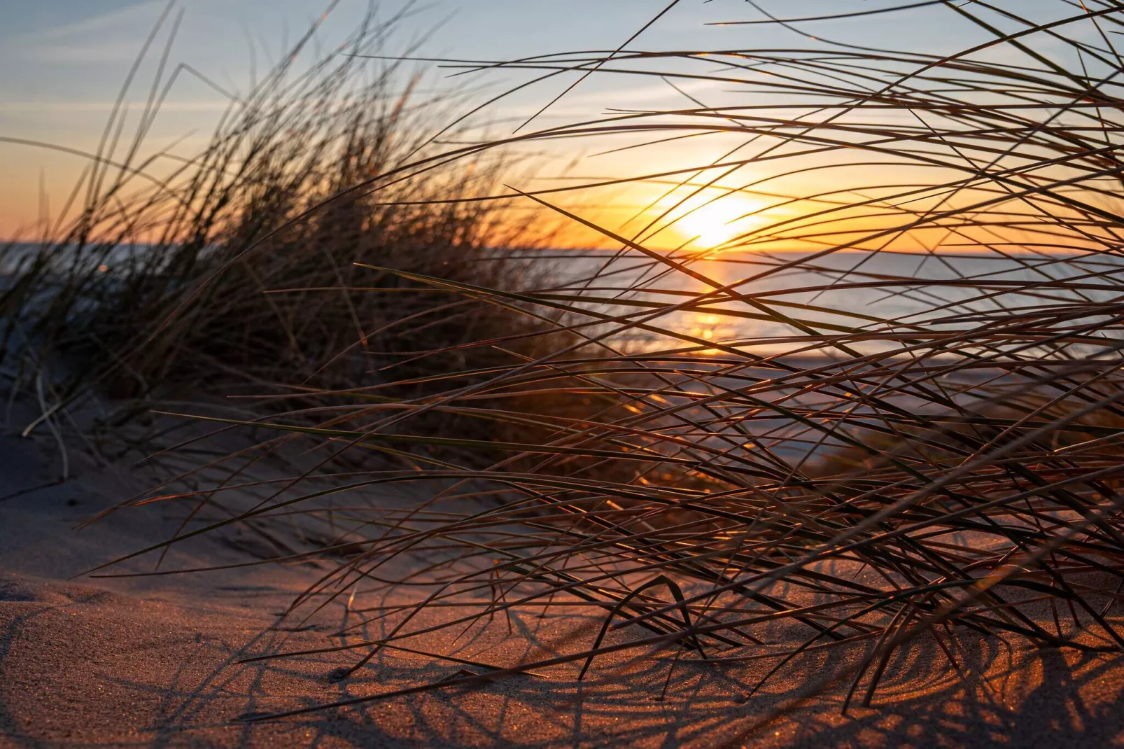 Strandparadijs in Saltum -- By Traum Ferienwohnungen-Waterzicht