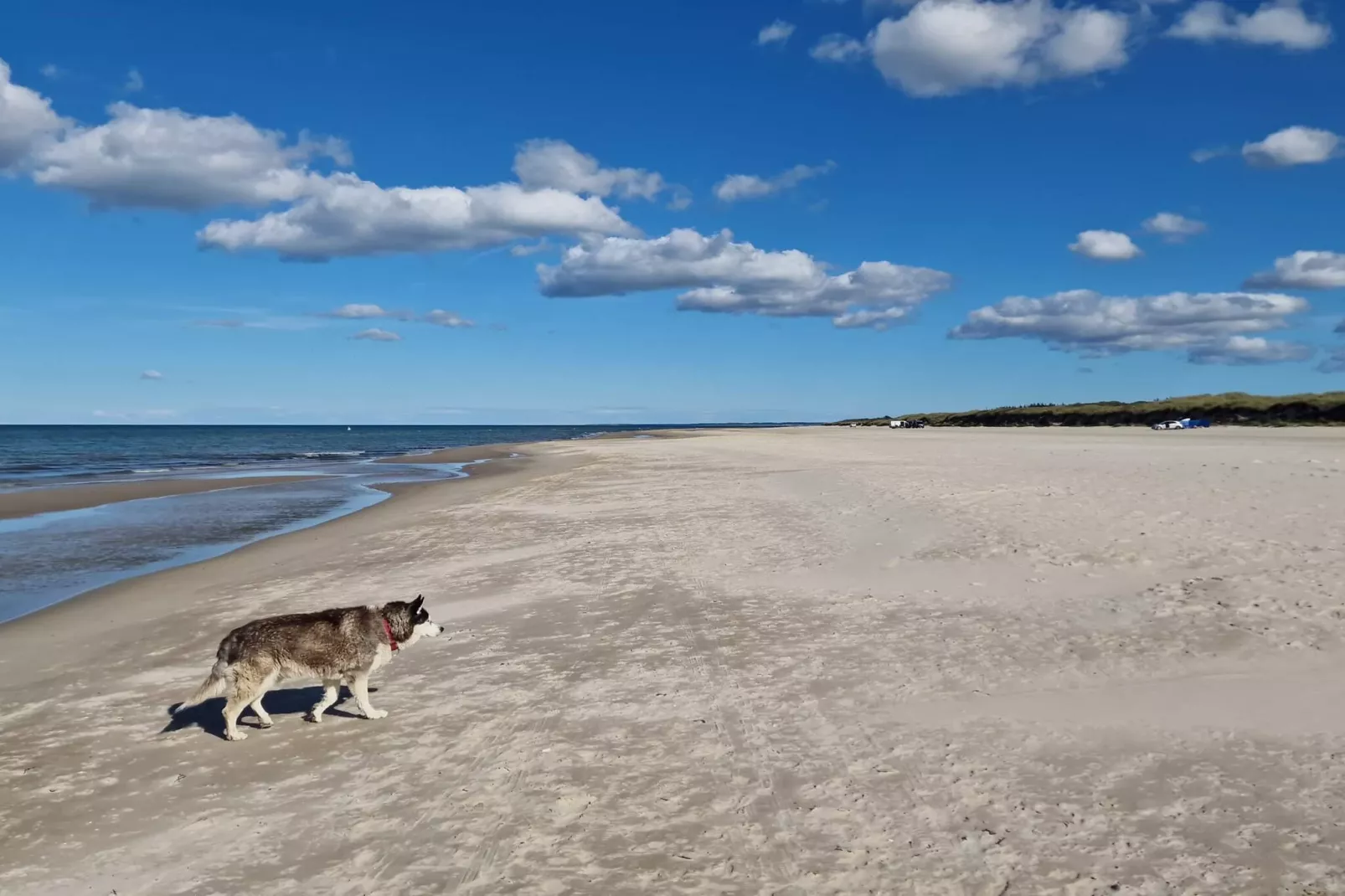 4 persoons vakantie huis in Ålbæk-By Traum-Waterzicht