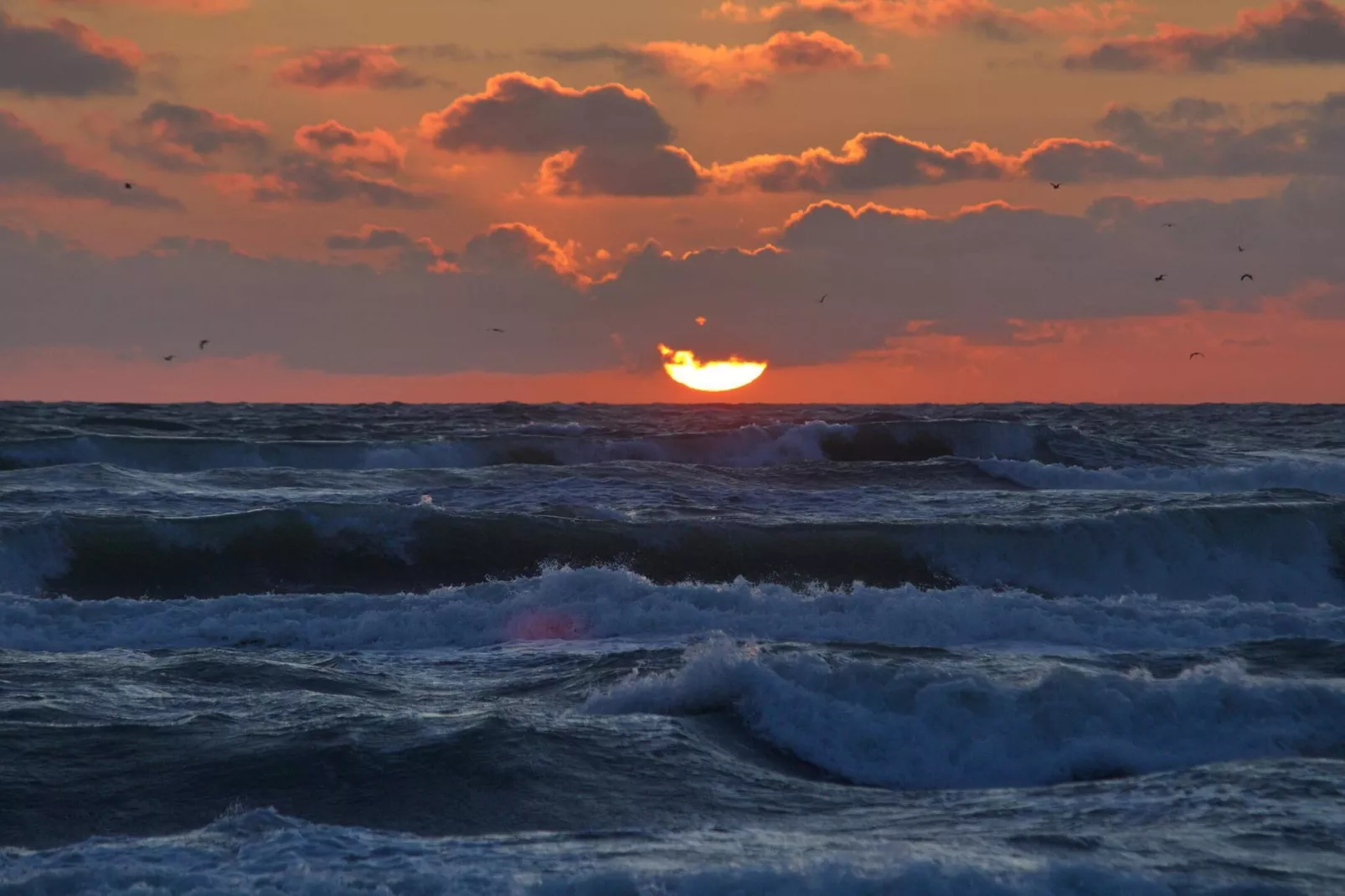 6 persoons vakantie huis in Hirtshals-By Traum-Waterzicht