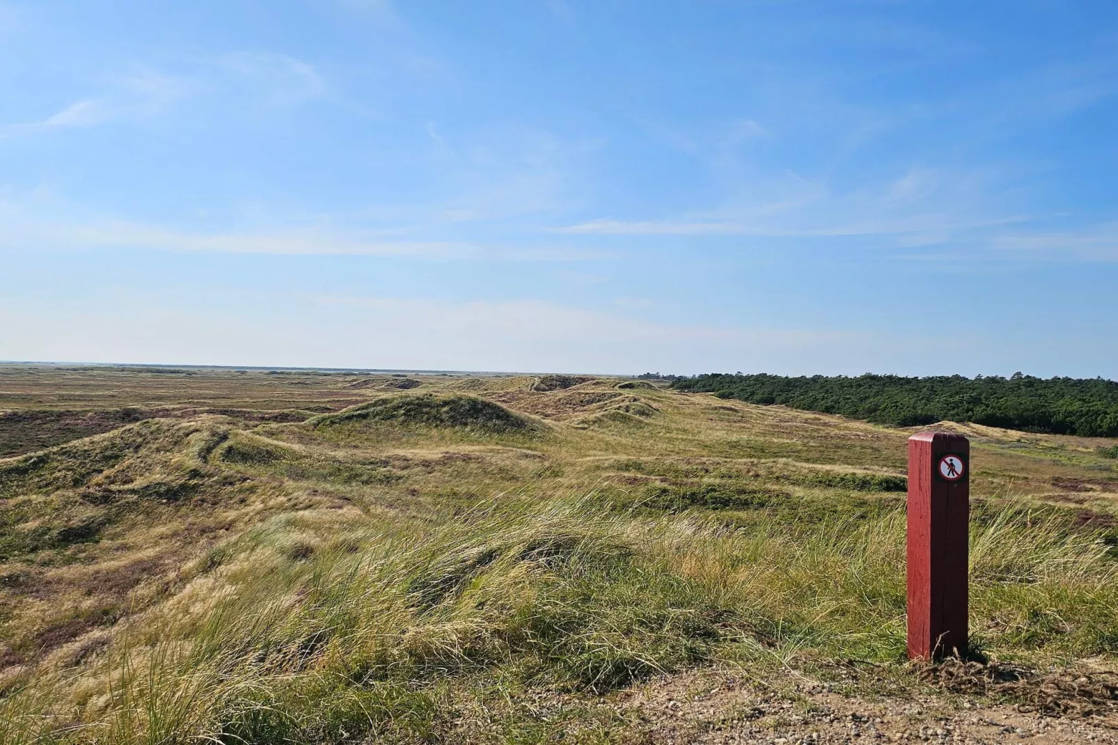 Afgelegen jaren 60 huisje -- By Traum Ferienwohnungen-Waterzicht