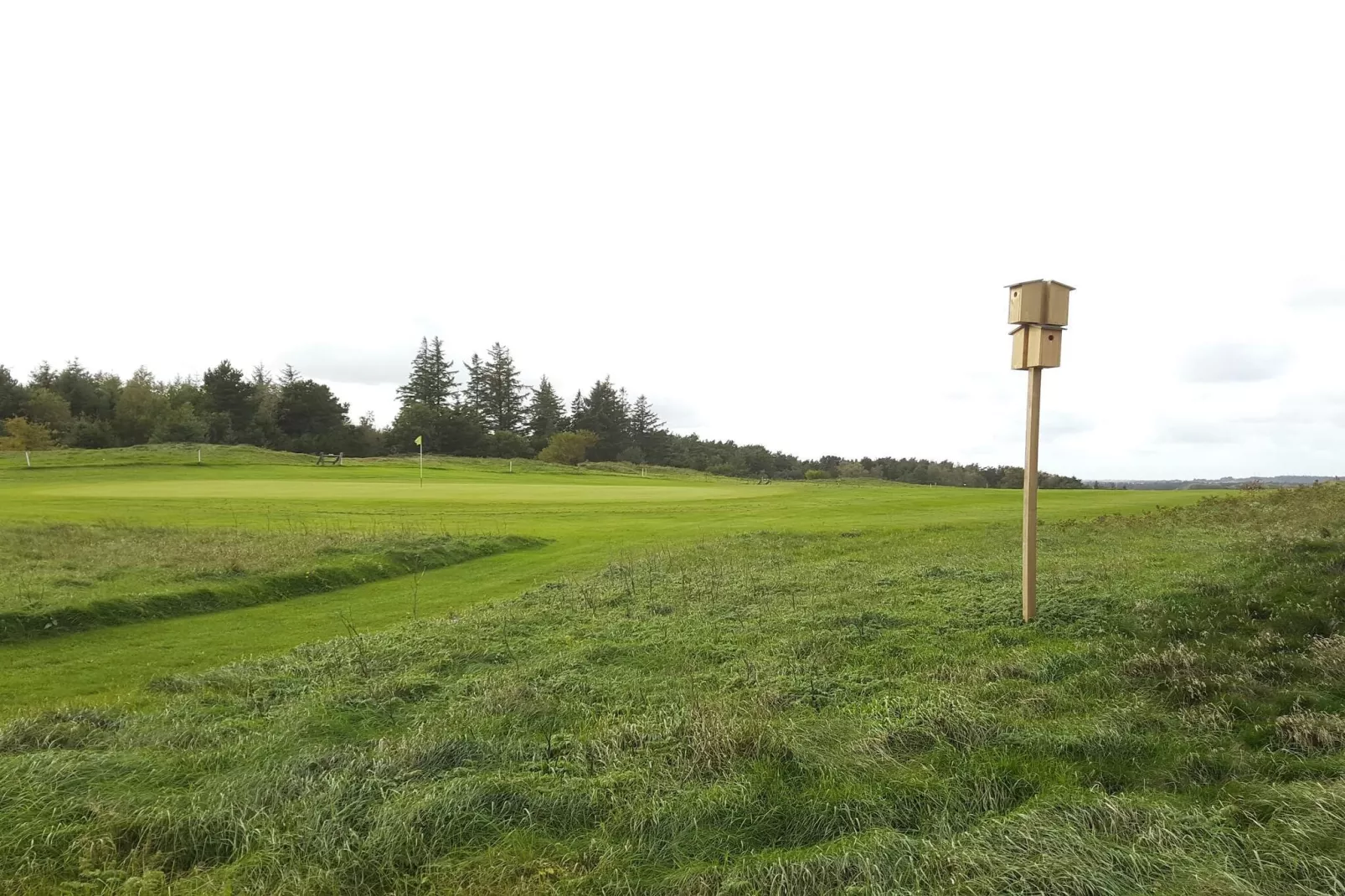 6 persoons vakantie huis in Fjerritslev-By Traum-Niet-getagd