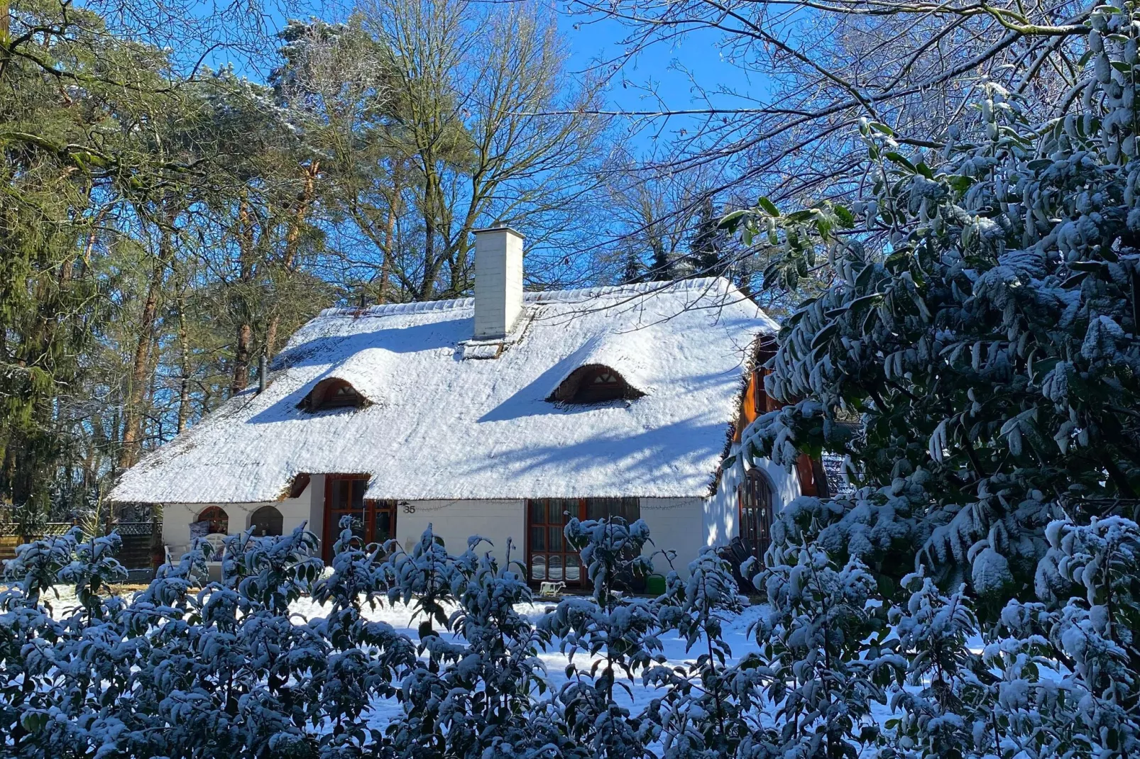 Boschhuys-Exterieur winter