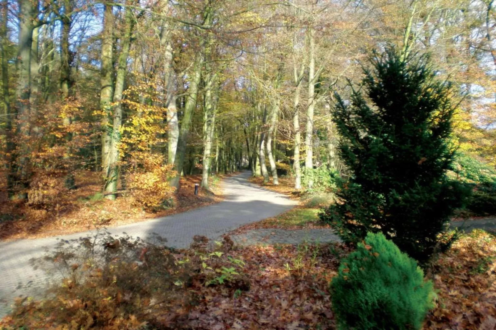 Vakantiepark De Lochemse Berg 2-Gebieden zomer 20km