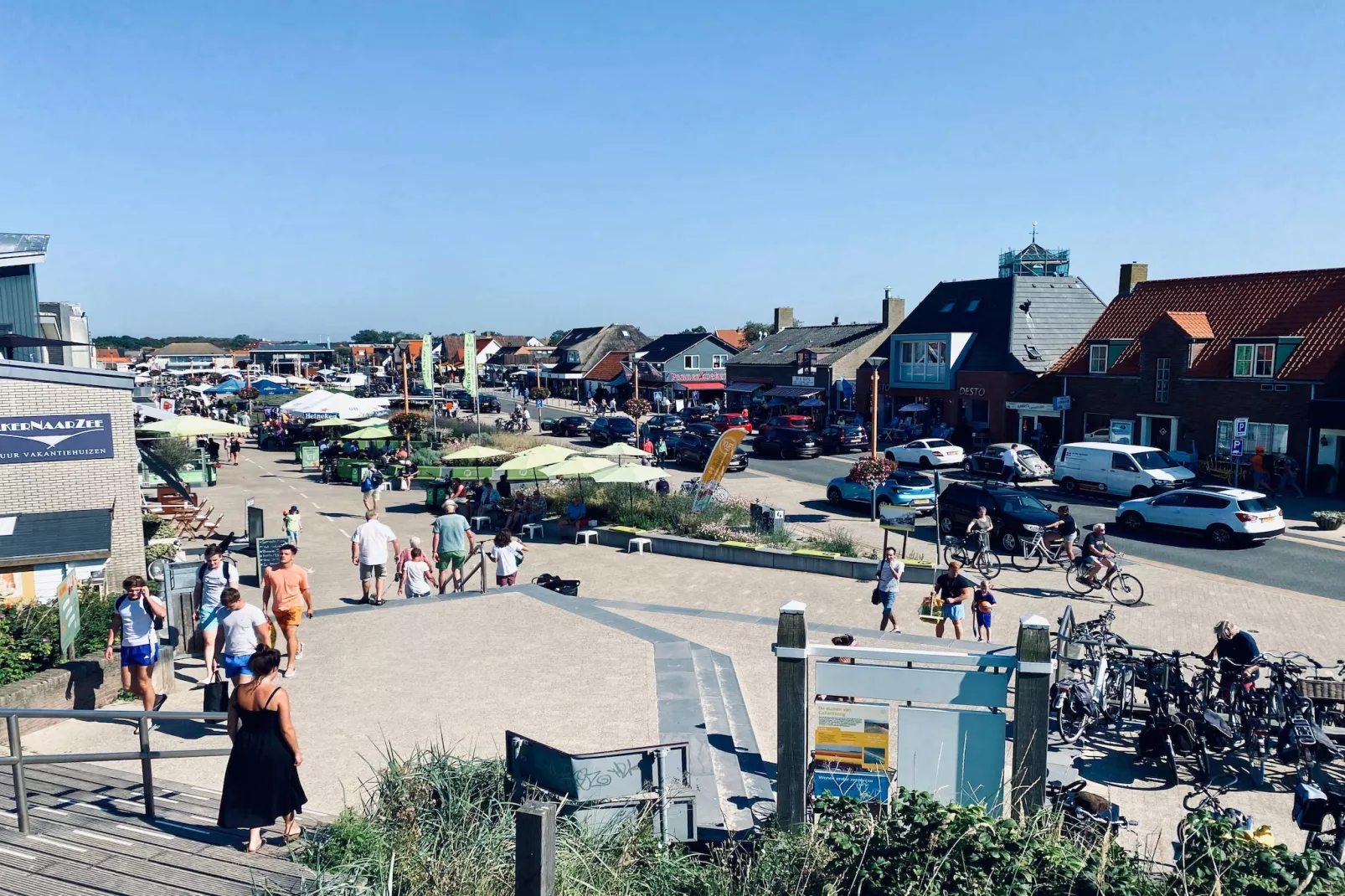 INFINITY-Gebieden zomer 1km