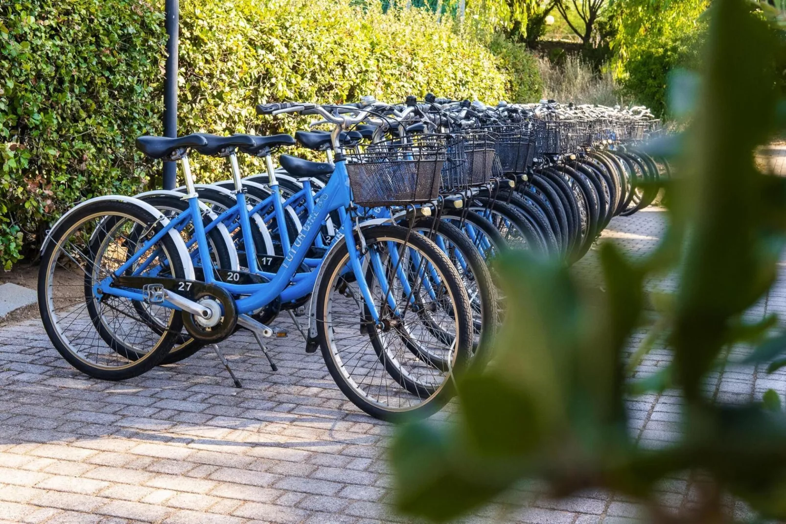 Holiday resort Riva degli Etruschi San Vincenzo-Ville Medium Trilo-VERDELLO 200 m dal mare-Faciliteiten