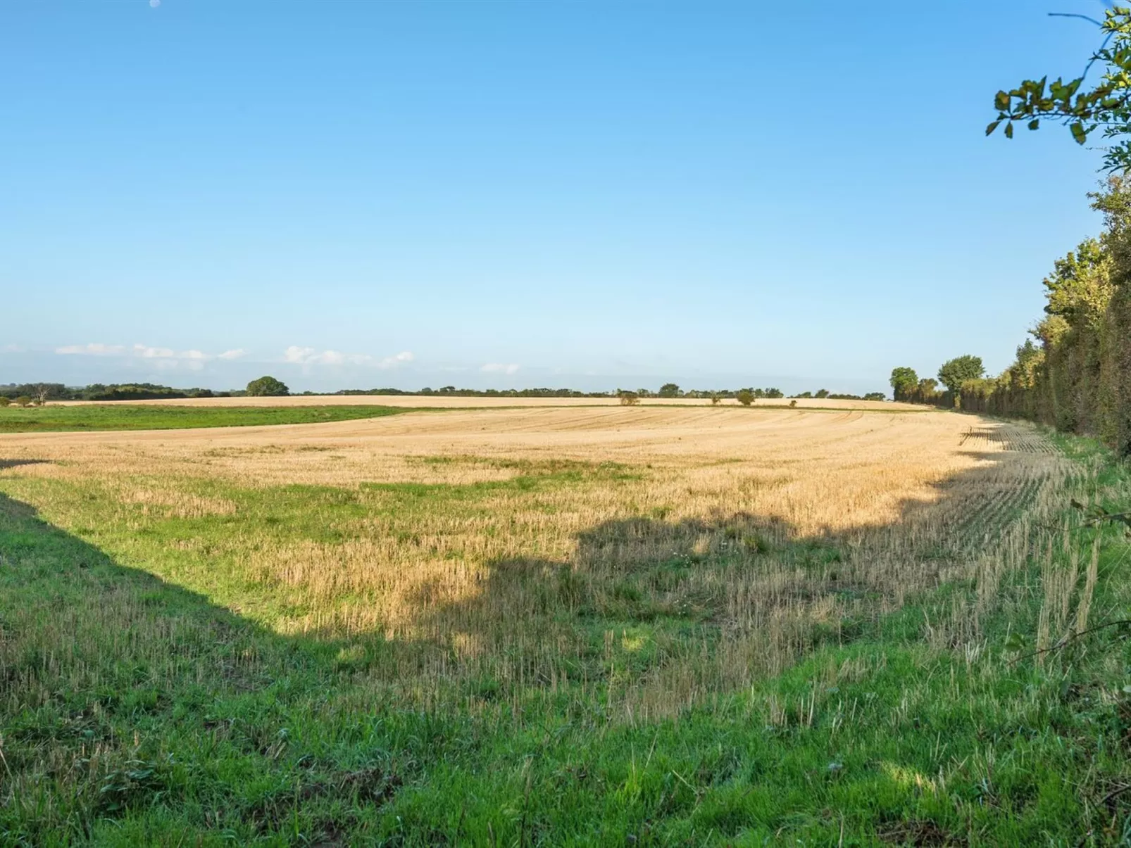 "Kaapo" - 300m from the sea-Buiten