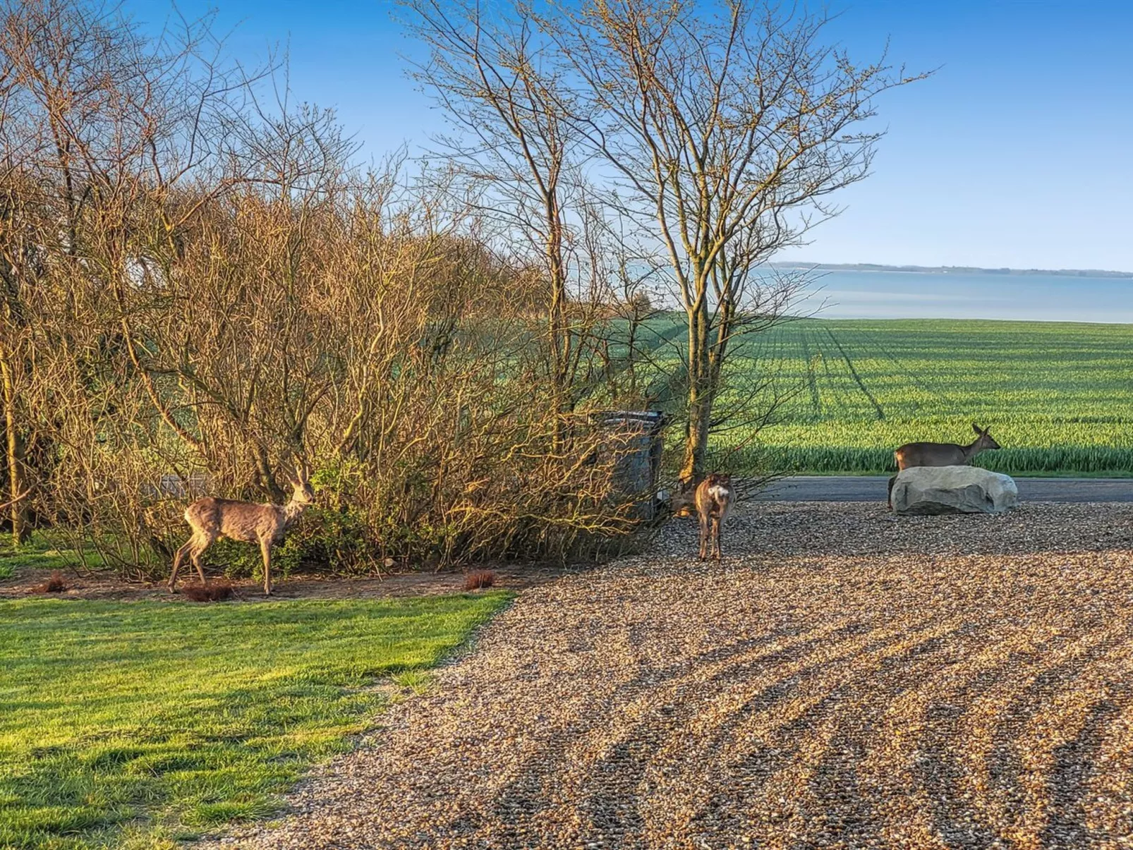 "Imilie" - 250m to the fjord-Buiten