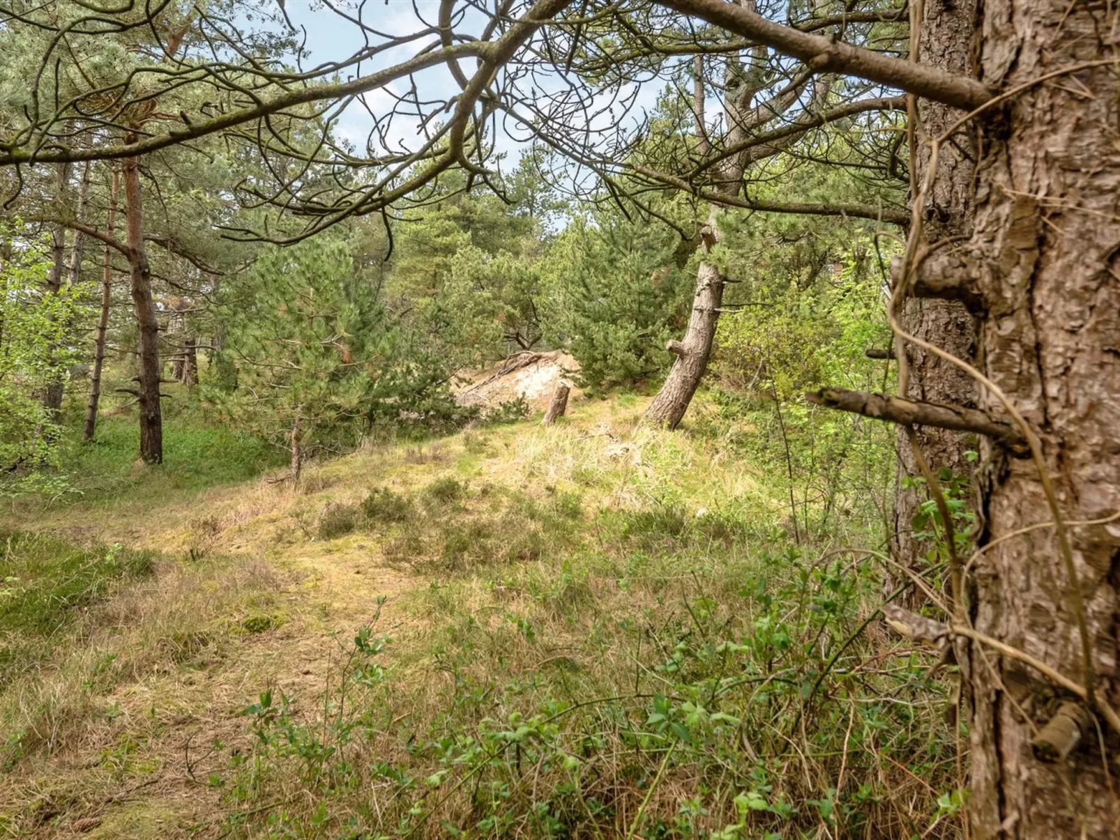 "Solvey" - 2km from the sea-Buiten