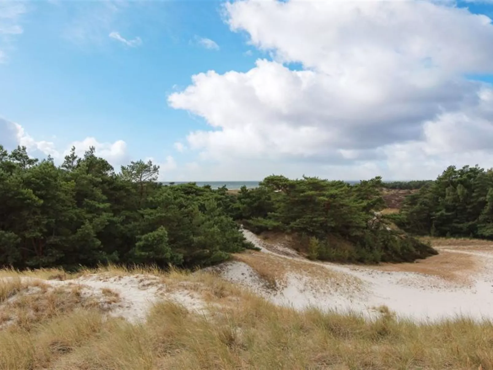 "Minka" - 300m from the sea-Buiten