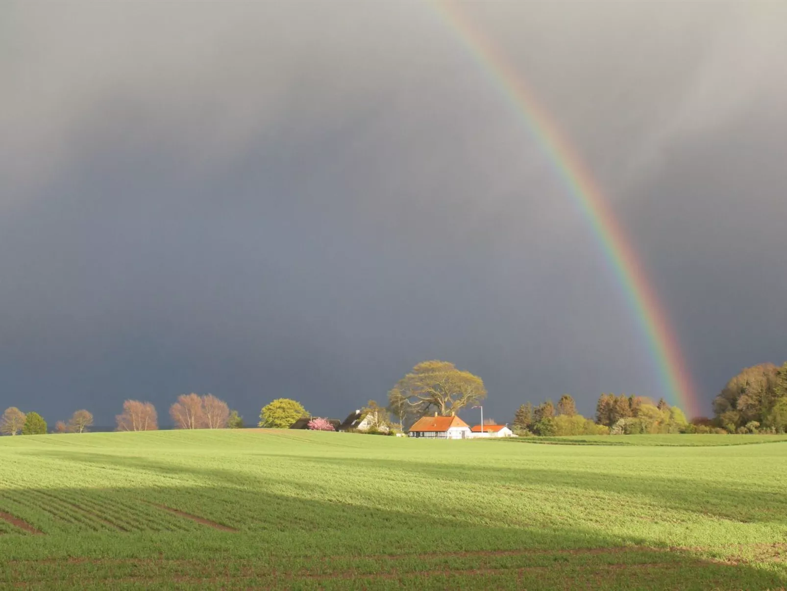 "Harre" - 300m from the sea-Buiten