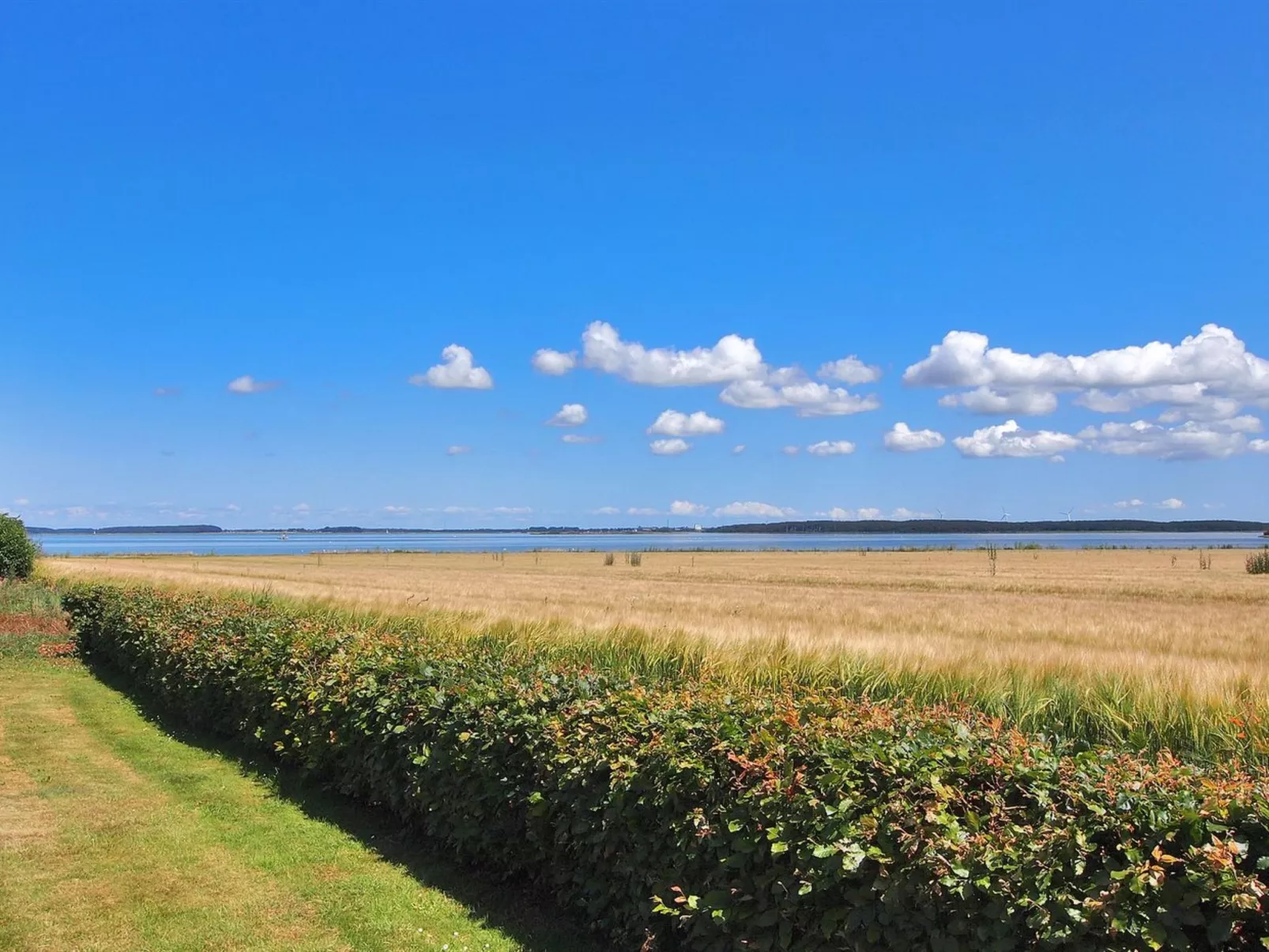 "Spase" - 250m to the fjord-Buiten