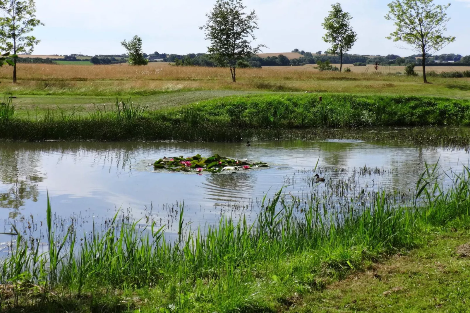 Vakantiehuis nabij het strand van Loddenhoj-Waterzicht